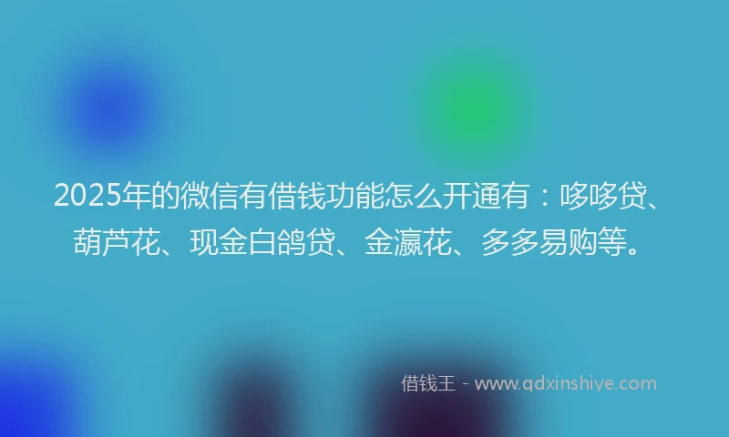 2025年的微信有借钱功能怎么开通有：哆哆贷、葫芦花、现金白鸽贷、金瀛花、多多易购等。