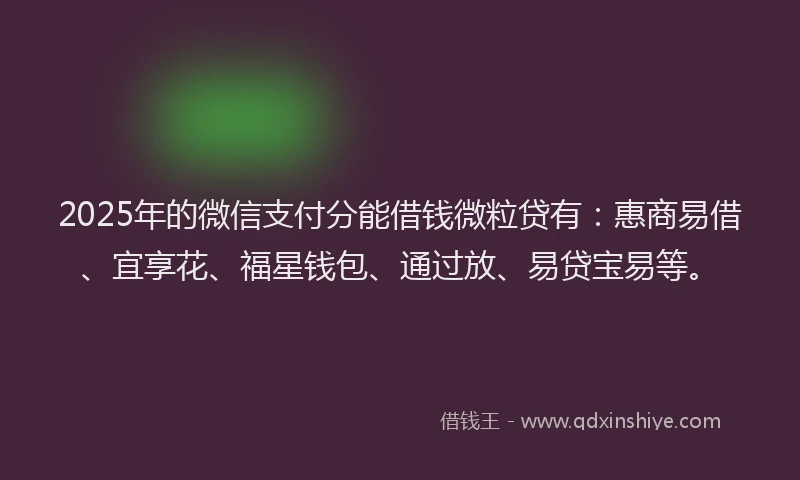 2025年的微信支付分能借钱微粒贷有：惠商易借、宜享花、福星钱包、通过放、易贷宝易等。