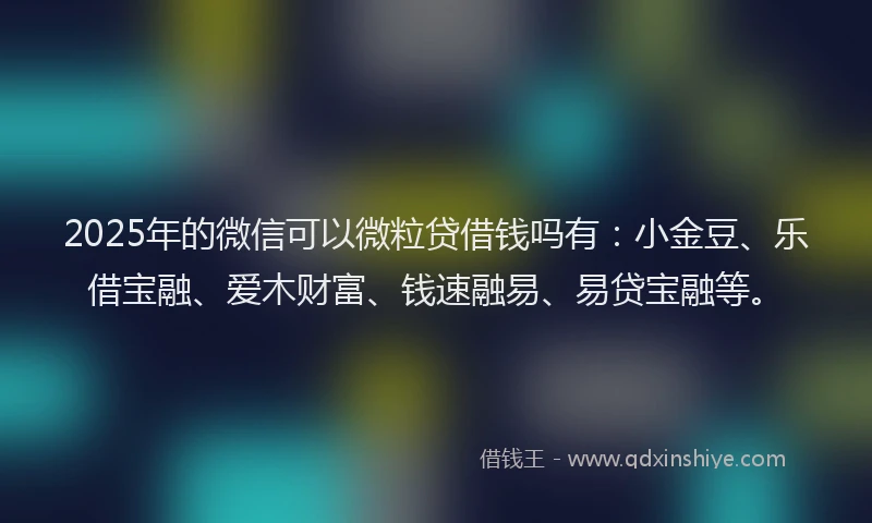 2025年的微信可以微粒贷借钱吗有：小金豆、乐借宝融、爱木财富、钱速融易、易贷宝融等。
