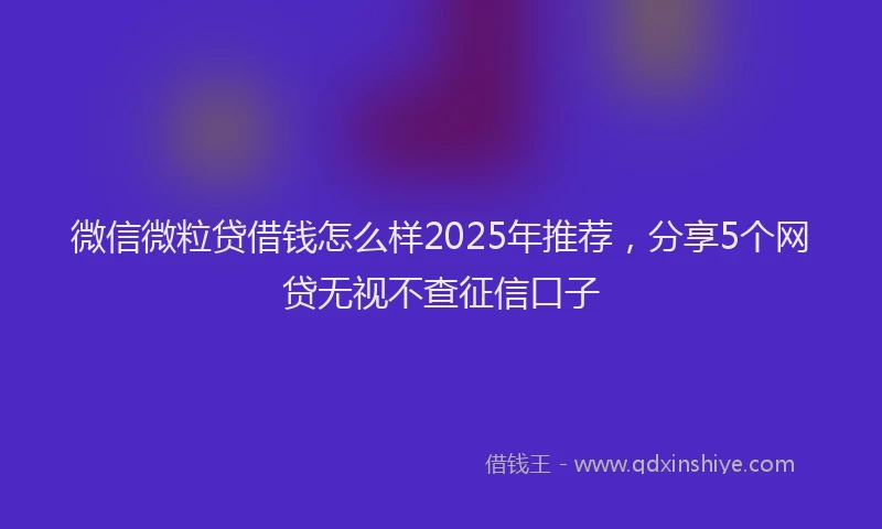微信微粒贷借钱怎么样2025年推荐，分享5个网贷无视不查征信口子
