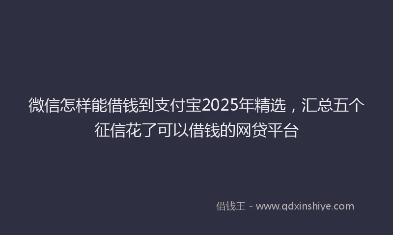 微信怎样能借钱到支付宝2025年精选，汇总五个征信花了可以借钱的网贷平台