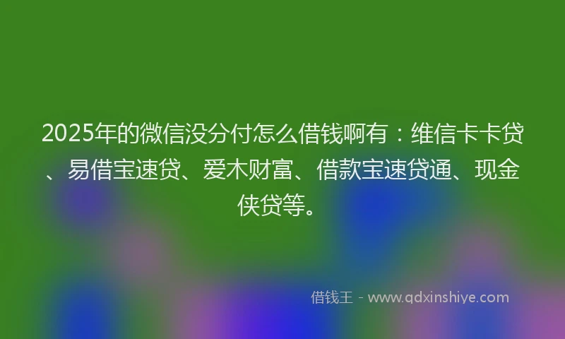 2025年的微信没分付怎么借钱啊有：维信卡卡贷、易借宝速贷、爱木财富、借款宝速贷通、现金侠贷等。