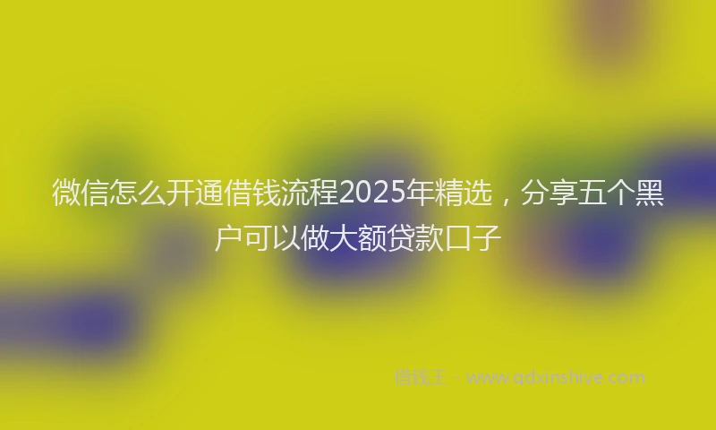 微信怎么开通借钱流程2025年精选，分享五个黑户可以做大额贷款口子