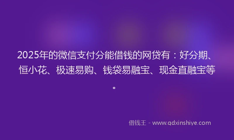 2025年的微信支付分能借钱的网贷有：好分期、恒小花、极速易购、钱袋易融宝、现金直融宝等。