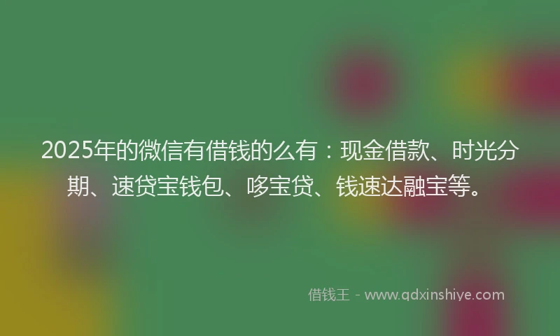 2025年的微信有借钱的么有：现金借款、时光分期、速贷宝钱包、哆宝贷、钱速达融宝等。