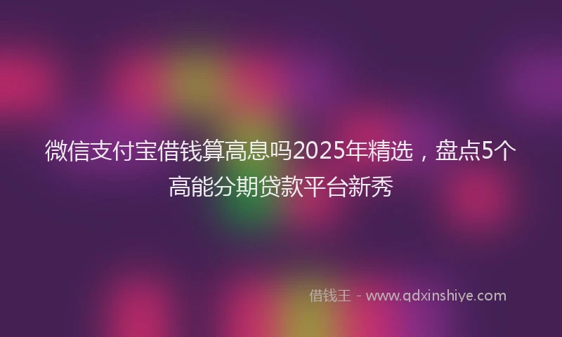 微信支付宝借钱算高息吗2025年精选，盘点5个高能分期贷款平台新秀
