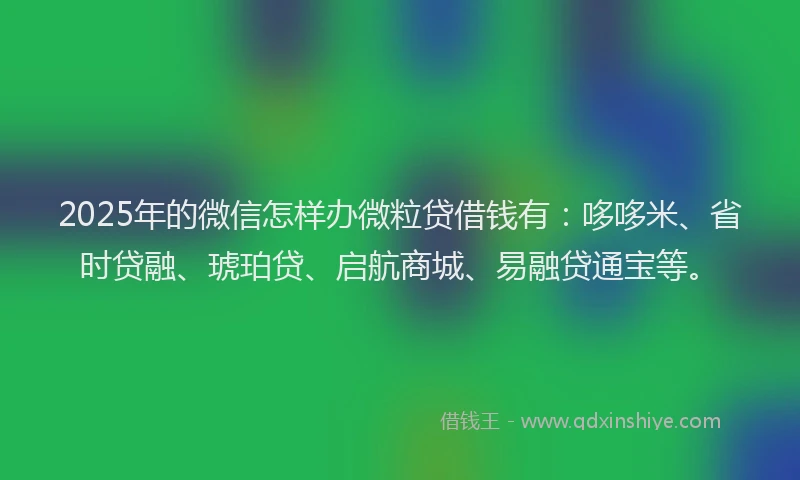 2025年的微信怎样办微粒贷借钱有：哆哆米、省时贷融、琥珀贷、启航商城、易融贷通宝等。