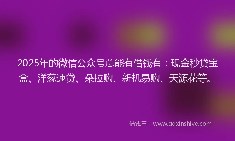 2025年的微信公众号总能有借钱有：现金秒贷宝盒、洋葱速贷、朵拉购、新机易购、天源花等。