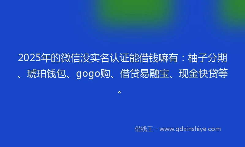 2025年的微信没实名认证能借钱嘛有：柚子分期、琥珀钱包、gogo购、借贷易融宝、现金快贷等。