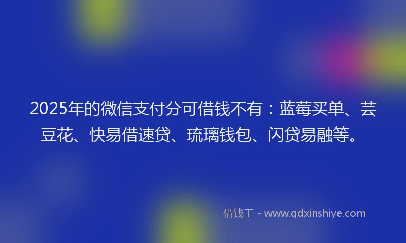 2025年的微信支付分可借钱不有：蓝莓买单、芸豆花、快易借速贷、琉璃钱包、闪贷易融等。