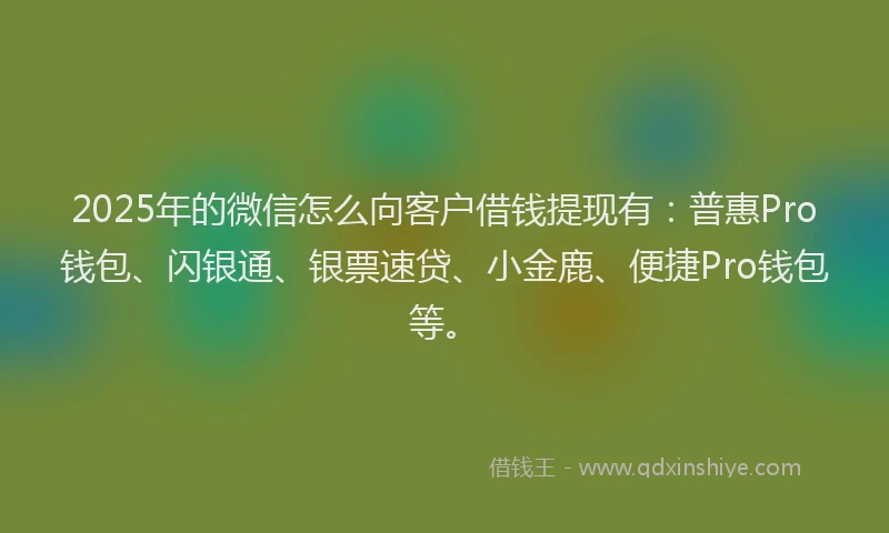 2025年的微信怎么向客户借钱提现有：普惠Pro钱包、闪银通、银票速贷、小金鹿、便捷Pro钱包等。