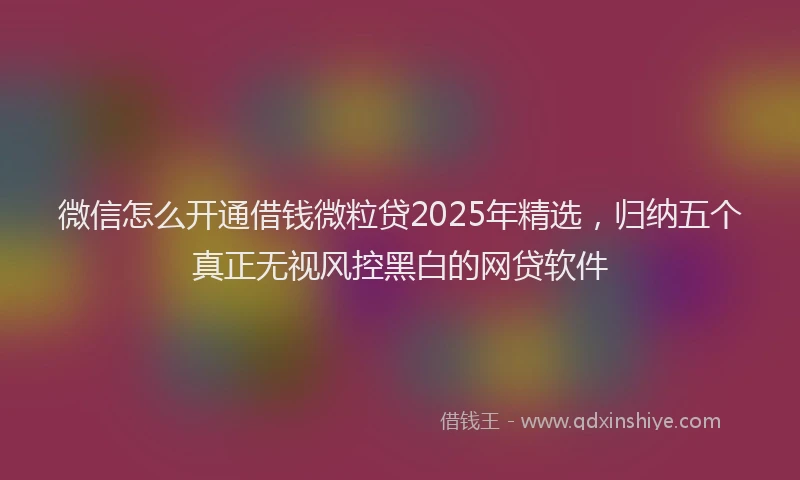 微信怎么开通借钱微粒贷2025年精选，归纳五个真正无视风控黑白的网贷软件