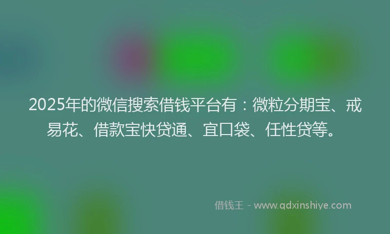 2025年的微信搜索借钱平台有：微粒分期宝、戒易花、借款宝快贷通、宜口袋、任性贷等。
