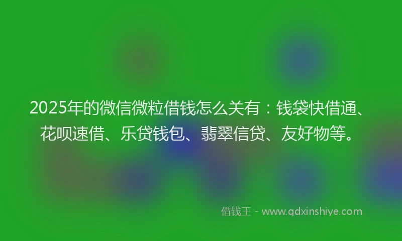 2025年的微信微粒借钱怎么关有：钱袋快借通、花呗速借、乐贷钱包、翡翠信贷、友好物等。