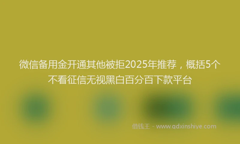 微信备用金开通其他被拒2025年推荐，概括5个不看征信无视黑白百分百下款平台