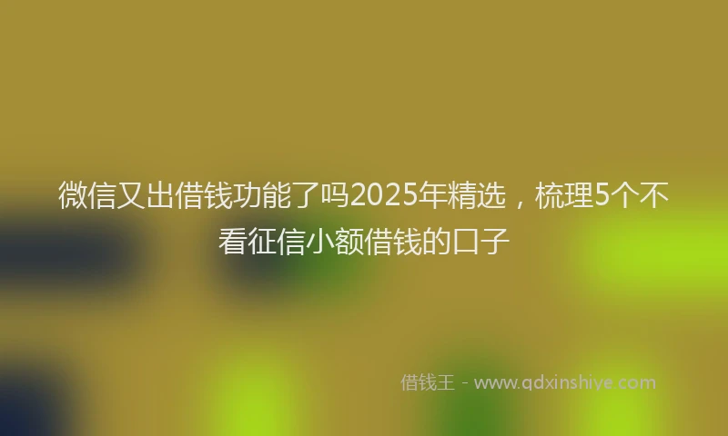 微信又出借钱功能了吗2025年精选，梳理5个不看征信小额借钱的口子