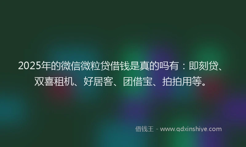 2025年的微信微粒贷借钱是真的吗有：即刻贷、双喜租机、好居客、团借宝、拍拍用等。