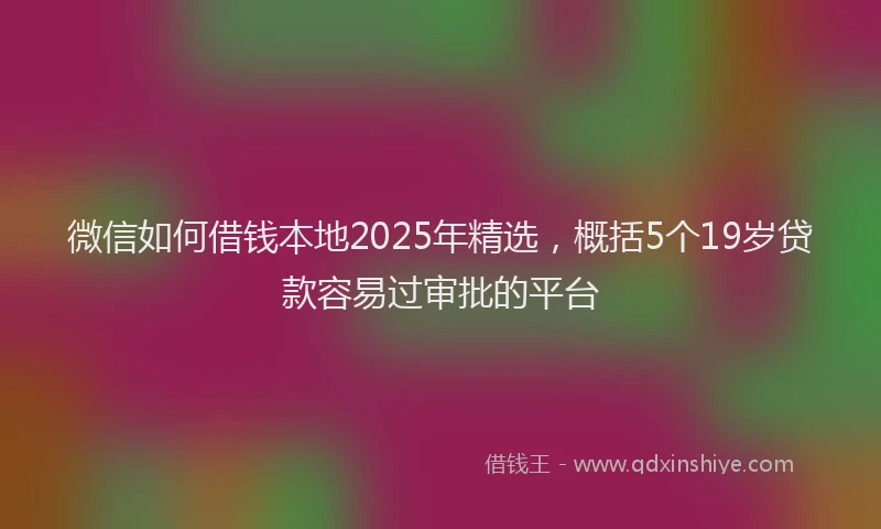 微信如何借钱本地2025年精选，概括5个19岁贷款容易过审批的平台