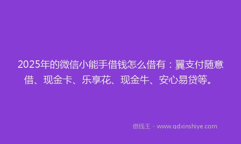 2025年的微信小能手借钱怎么借有：翼支付随意借、现金卡、乐享花、现金牛、安心易贷等。