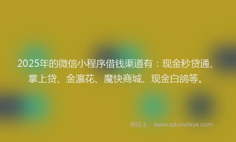 2025年的微信小程序借钱渠道有：现金秒贷通、掌上贷、金瀛花、魔快商城、现金白鸽等。
