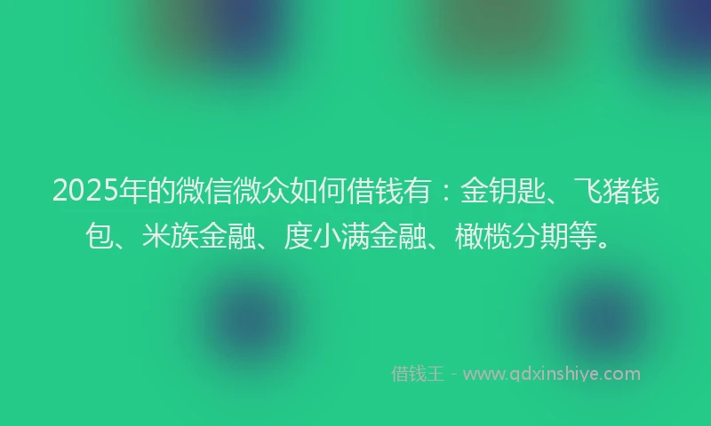 2025年的微信微众如何借钱有：金钥匙、飞猪钱包、米族金融、度小满金融、橄榄分期等。