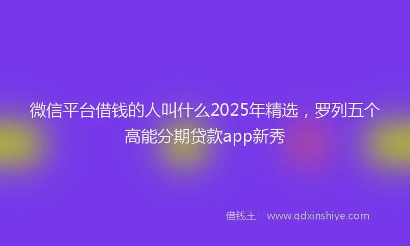 微信平台借钱的人叫什么2025年精选，罗列五个高能分期贷款app新秀