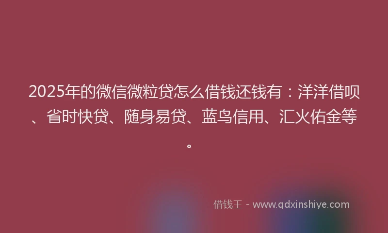 2025年的微信微粒贷怎么借钱还钱有：洋洋借呗、省时快贷、随身易贷、蓝鸟信用、汇火佑金等。
