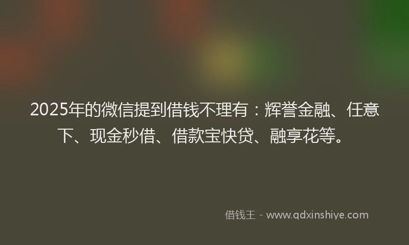 2025年的微信提到借钱不理有：辉誉金融、任意下、现金秒借、借款宝快贷、融享花等。