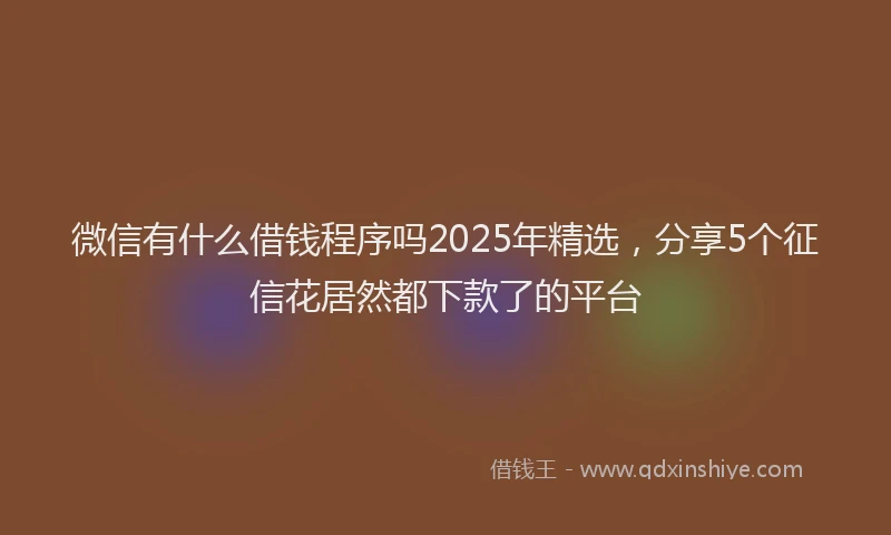 微信有什么借钱程序吗2025年精选，分享5个征信花居然都下款了的平台