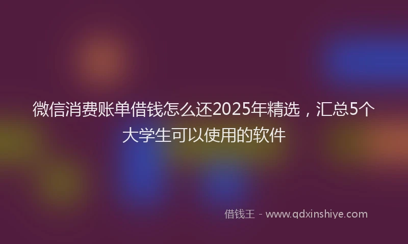微信消费账单借钱怎么还2025年精选，汇总5个大学生可以使用的软件