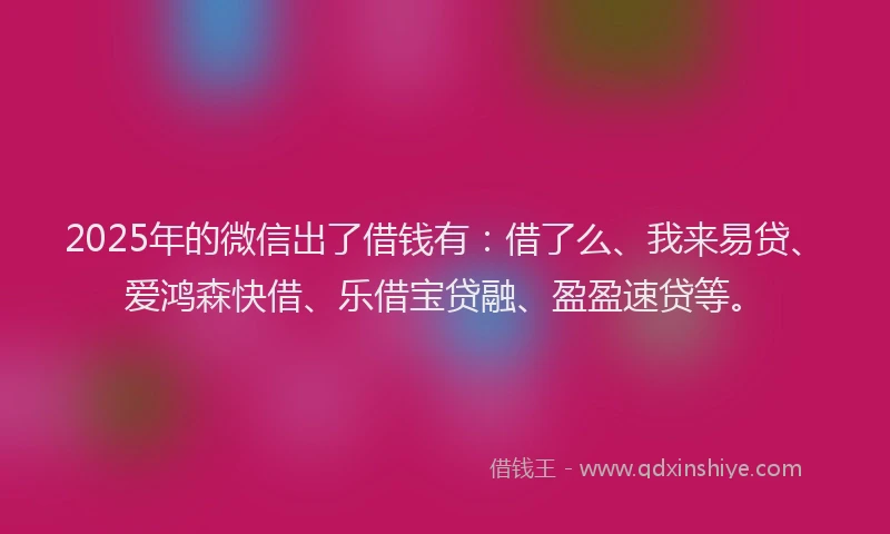 2025年的微信出了借钱有：借了么、我来易贷、爱鸿森快借、乐借宝贷融、盈盈速贷等。