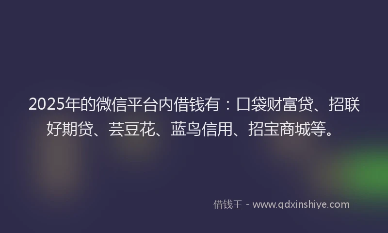 2025年的微信平台内借钱有：口袋财富贷、招联好期贷、芸豆花、蓝鸟信用、招宝商城等。