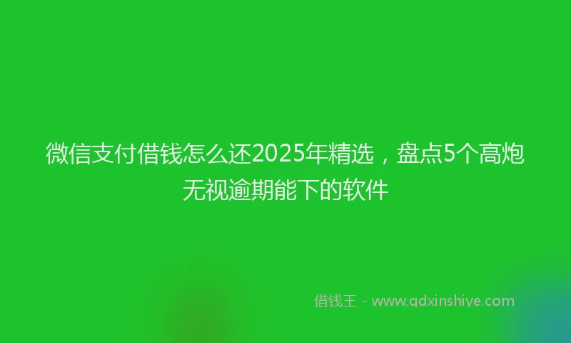 微信支付借钱怎么还2025年精选，盘点5个高炮无视逾期能下的软件