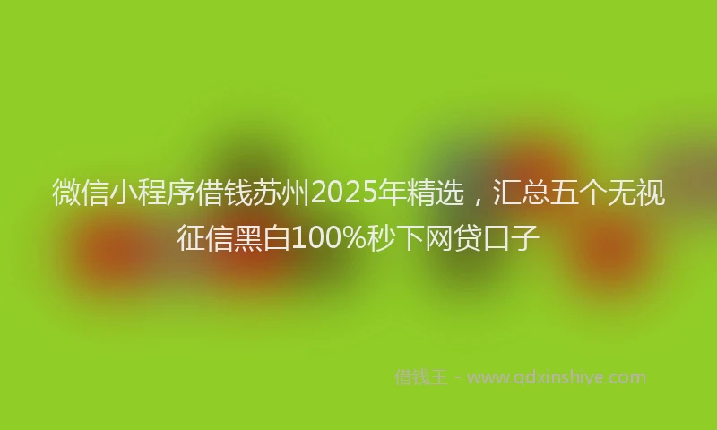 微信小程序借钱苏州2025年精选，汇总五个无视征信黑白100%秒下网贷口子