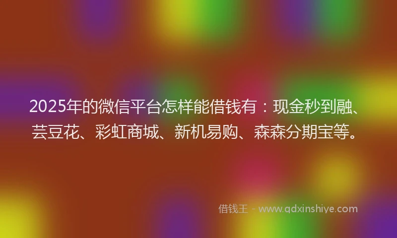 2025年的微信平台怎样能借钱有：现金秒到融、芸豆花、彩虹商城、新机易购、森森分期宝等。