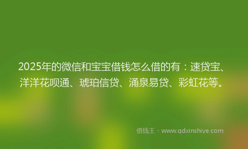 2025年的微信和宝宝借钱怎么借的有：速贷宝、洋洋花呗通、琥珀信贷、涌泉易贷、彩虹花等。