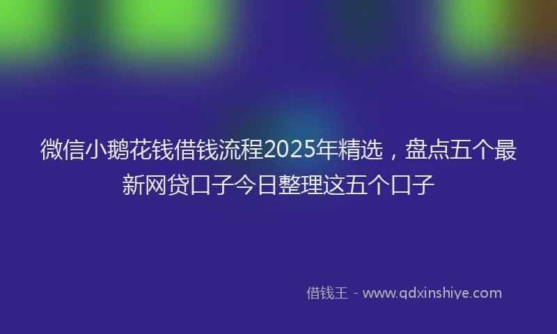 微信小鹅花钱借钱流程2025年精选，盘点五个最新网贷口子今日整理这五个口子