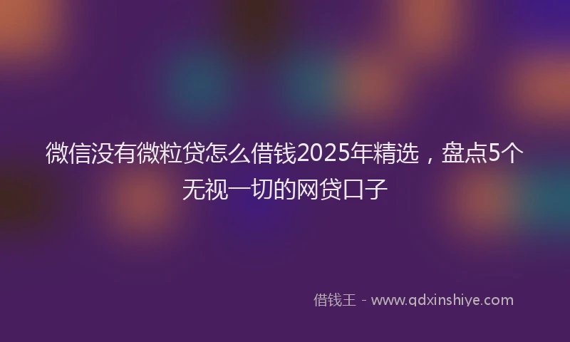 微信没有微粒贷怎么借钱2025年精选，盘点5个无视一切的网贷口子