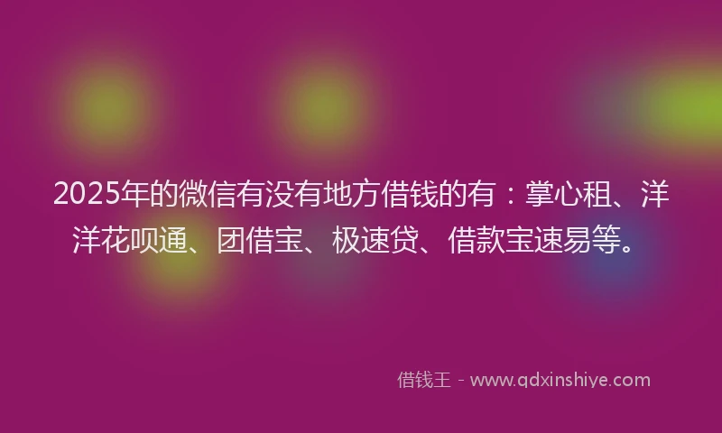 2025年的微信有没有地方借钱的有：掌心租、洋洋花呗通、团借宝、极速贷、借款宝速易等。