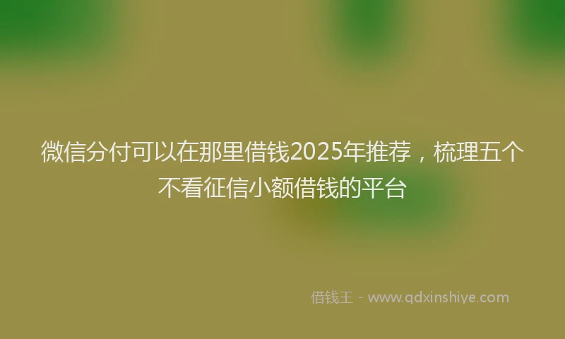 微信分付可以在那里借钱2025年推荐，梳理五个不看征信小额借钱的平台