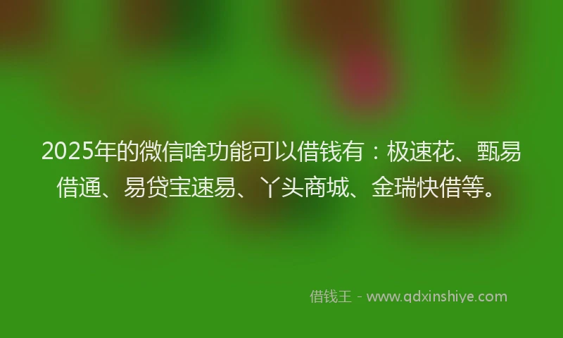 2025年的微信啥功能可以借钱有：极速花、甄易借通、易贷宝速易、丫头商城、金瑞快借等。