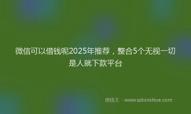 微信可以借钱呢2025年推荐，整合5个无视一切是人就下款平台