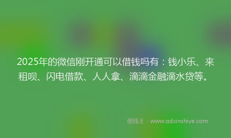 2025年的微信刚开通可以借钱吗有：钱小乐、来租呗、闪电借款、人人拿、滴滴金融滴水贷等。