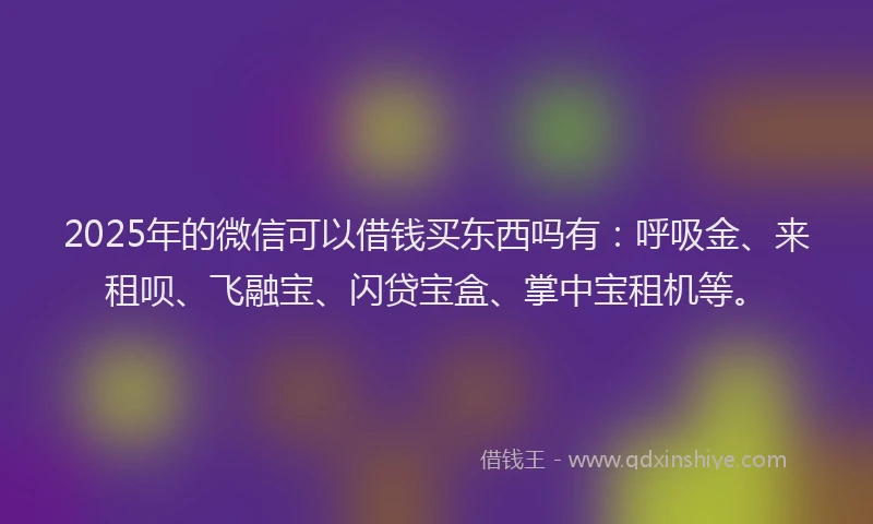 2025年的微信可以借钱买东西吗有：呼吸金、来租呗、飞融宝、闪贷宝盒、掌中宝租机等。