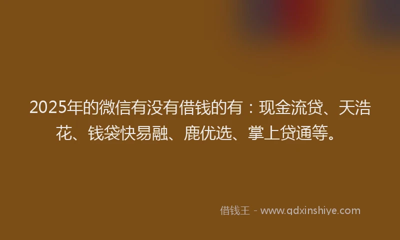 2025年的微信有没有借钱的有：现金流贷、天浩花、钱袋快易融、鹿优选、掌上贷通等。