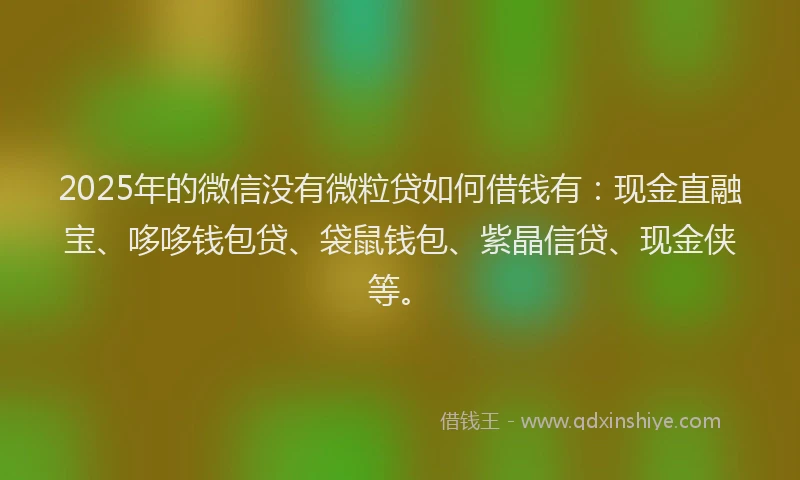 2025年的微信没有微粒贷如何借钱有：现金直融宝、哆哆钱包贷、袋鼠钱包、紫晶信贷、现金侠等。