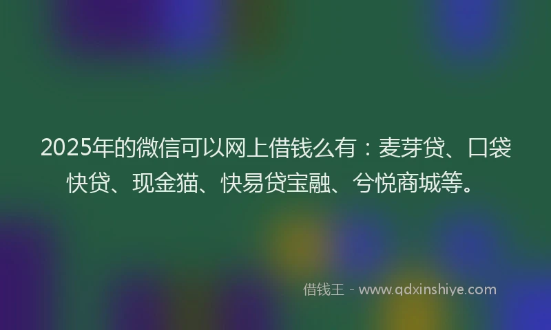 2025年的微信可以网上借钱么有：麦芽贷、口袋快贷、现金猫、快易贷宝融、兮悦商城等。