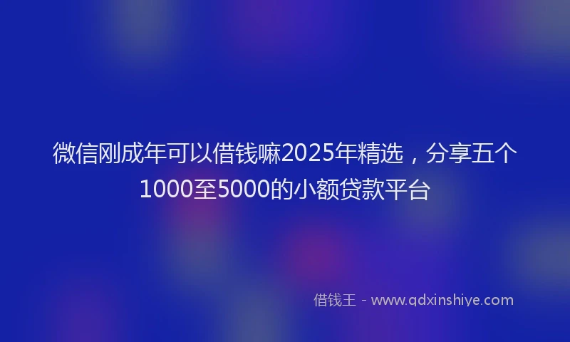 微信刚成年可以借钱嘛2025年精选，分享五个1000至5000的小额贷款平台