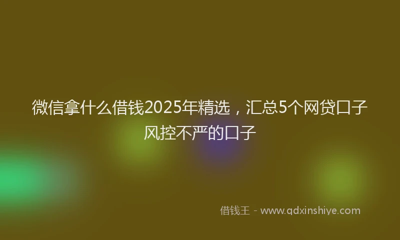 微信拿什么借钱2025年精选，汇总5个网贷口子风控不严的口子
