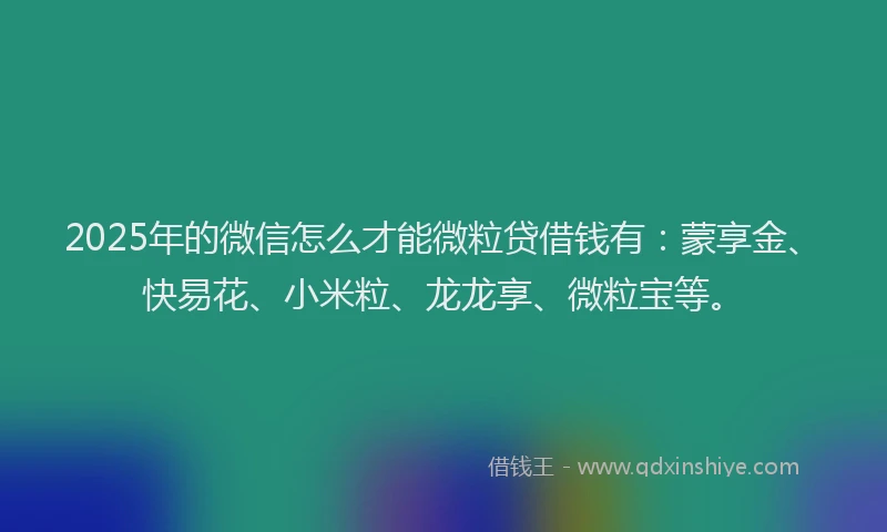 2025年的微信怎么才能微粒贷借钱有：蒙享金、快易花、小米粒、龙龙享、微粒宝等。
